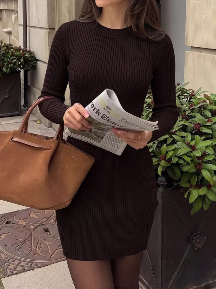 Ribbed knit long sleeve mini sweater dress with crew neck