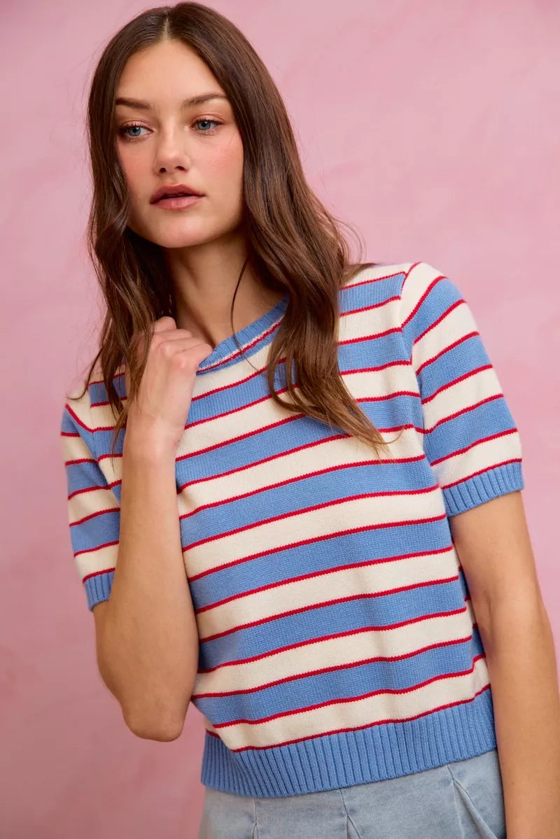 Striped ribbed knit short sleeve crew neck sweater top