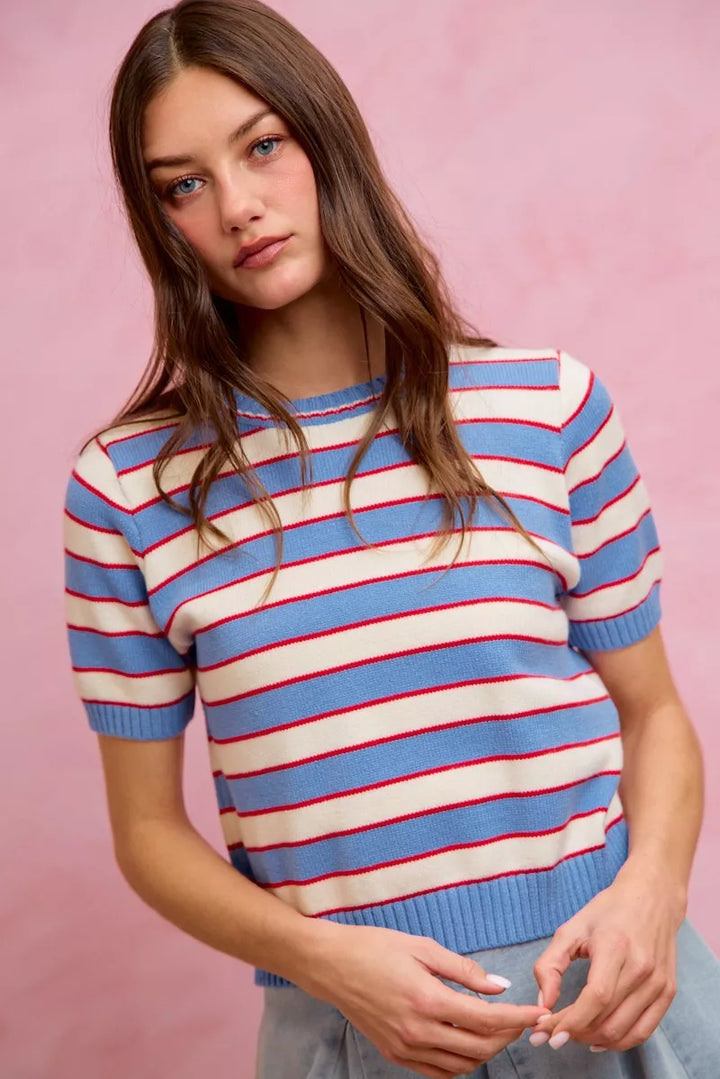 Striped ribbed knit short sleeve crew neck sweater top