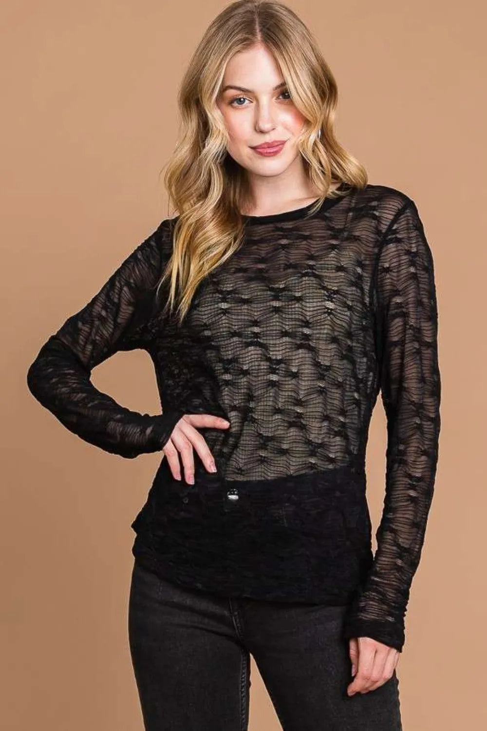 Black Sheer textured mesh long sleeve top with round neck