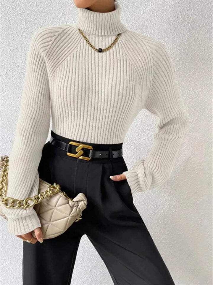 Ribbed knit turtleneck sweater with fitted long sleeves