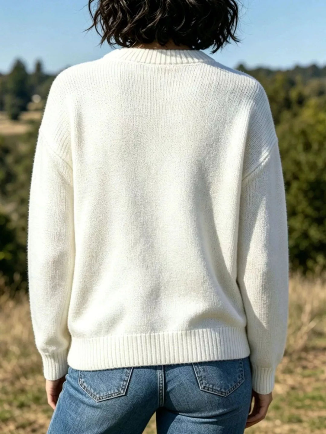 Lobster graphic crew neck knit pullover sweater
