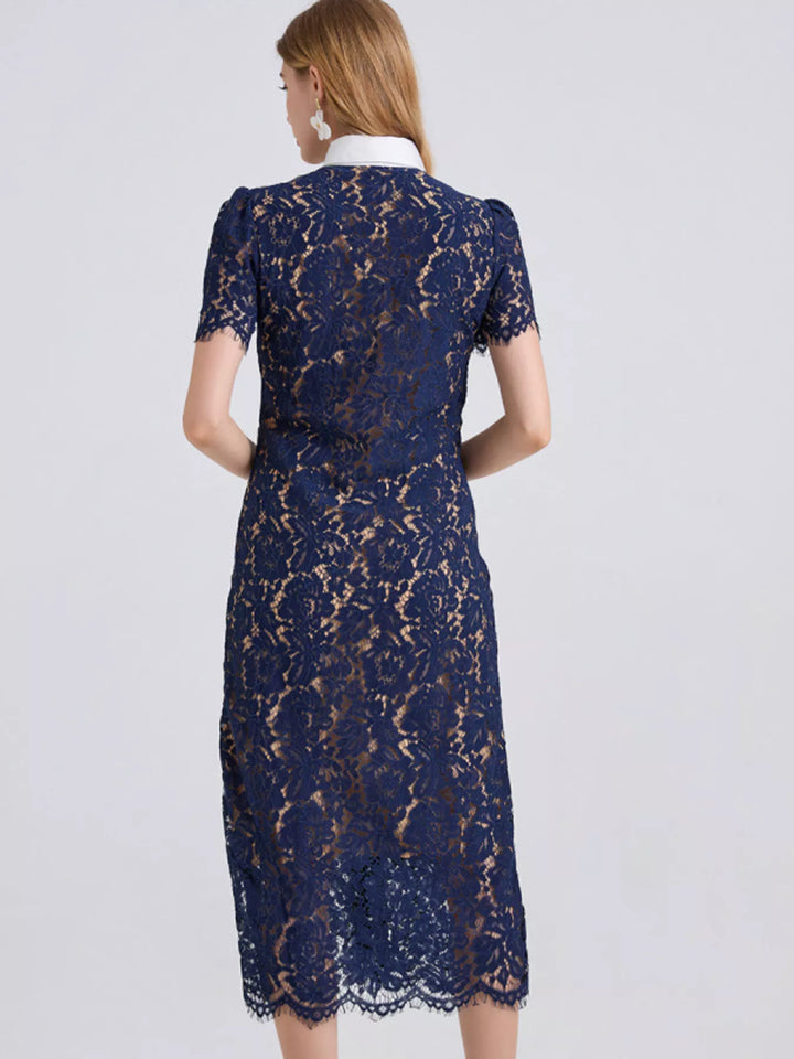 Belted floral lace midi shirt dress with contrast collar