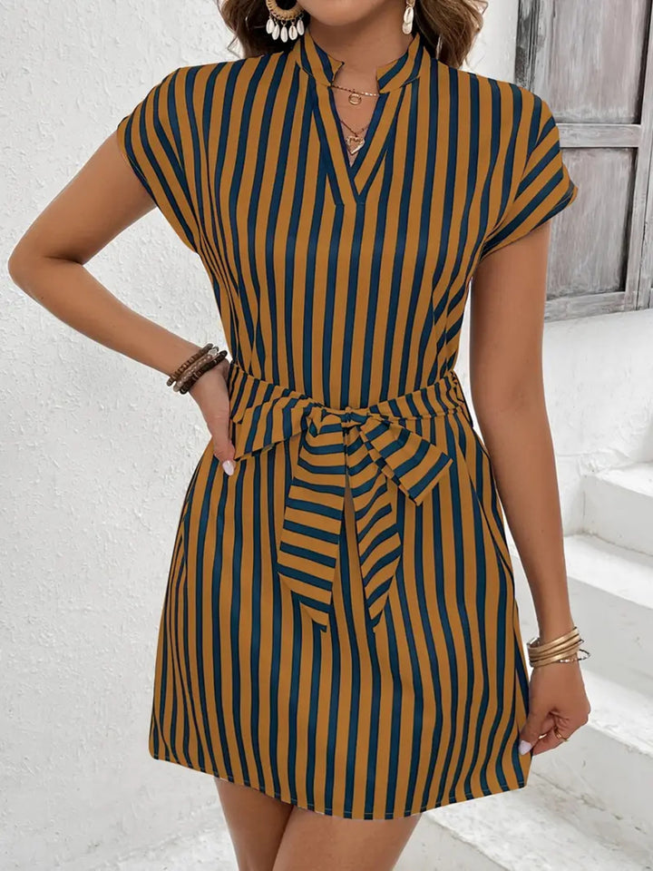 Brown Striped tie-waist mini dress with split V-neck collar