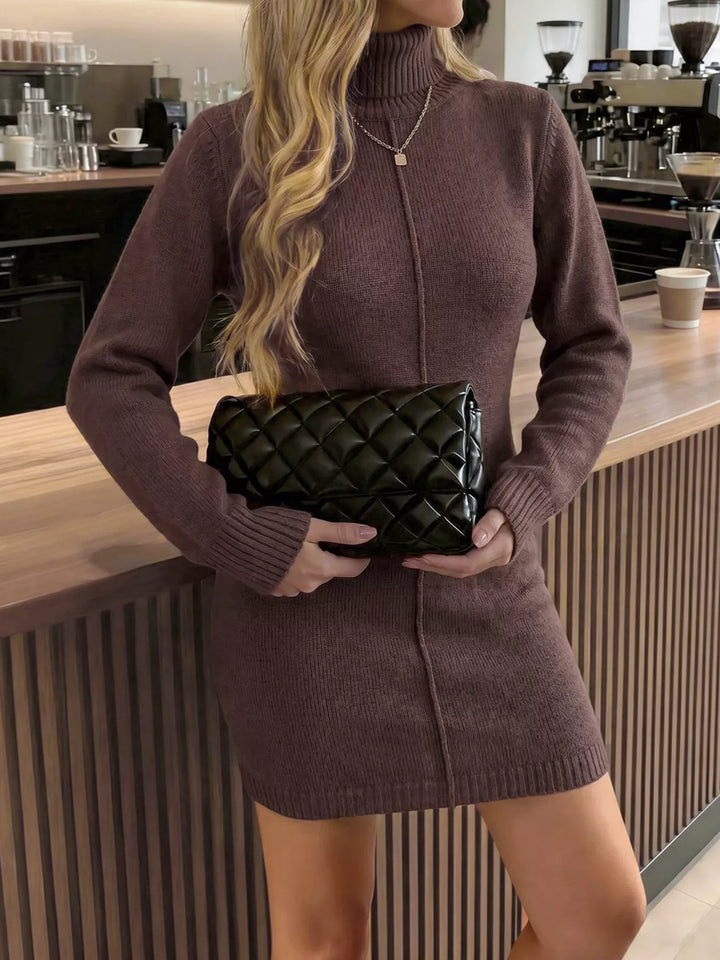 Brown Ribbed knit mock neck bodycon sweater mini dress