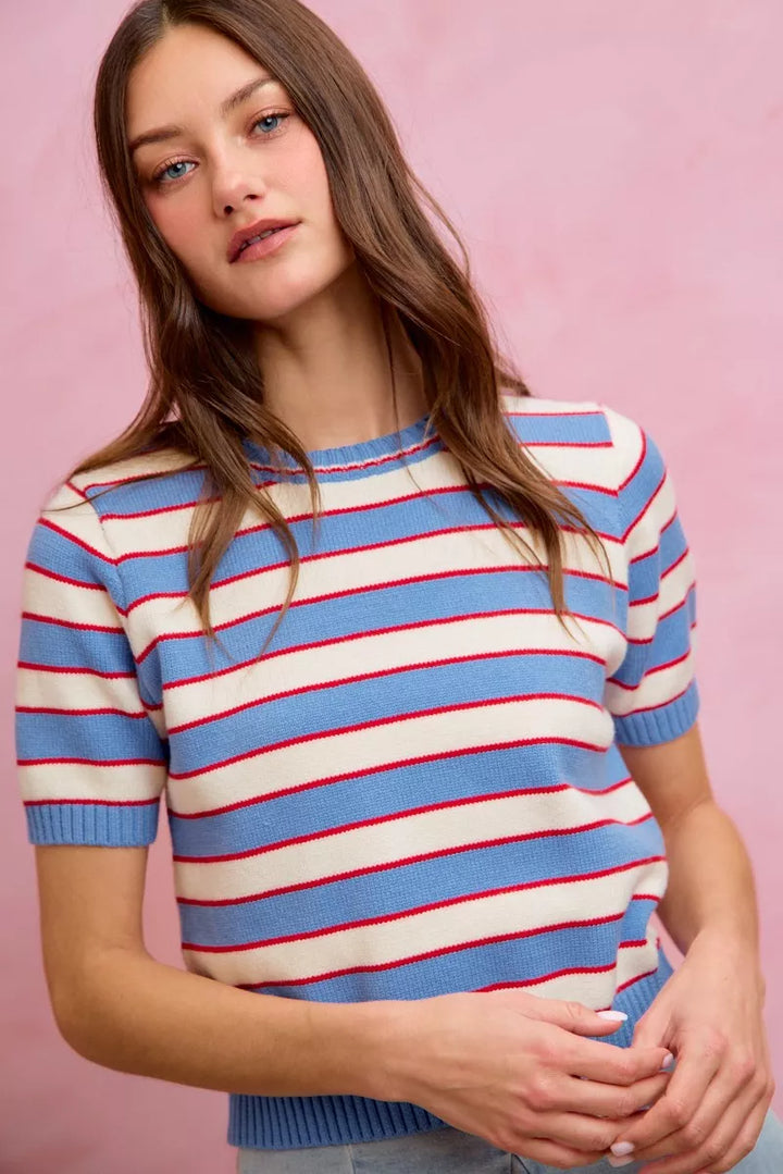 Striped ribbed knit short sleeve crew neck sweater top