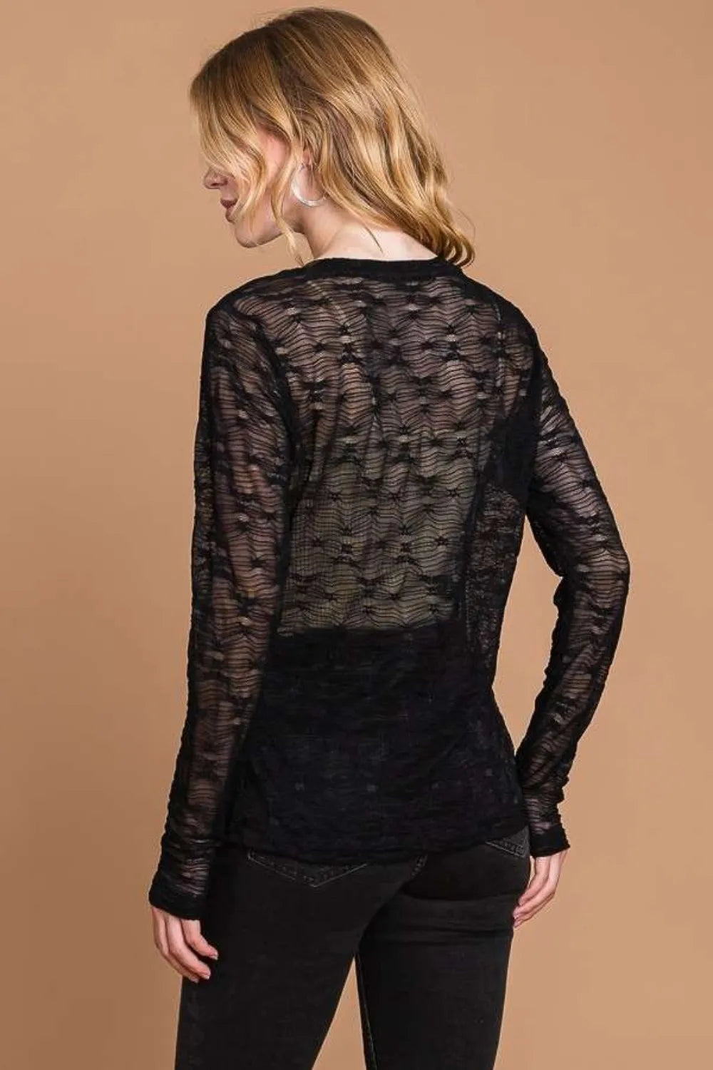 Sheer textured mesh long sleeve top with round neck